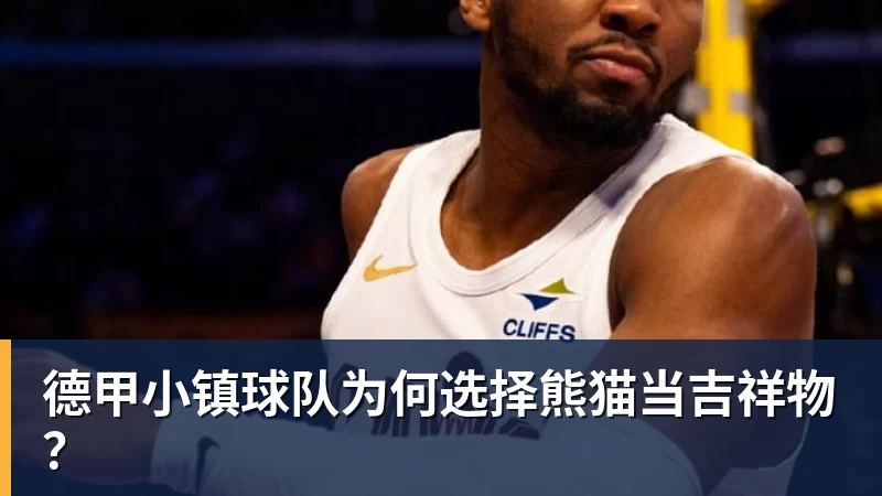 德甲小镇球队为何选择熊猫当吉祥物？